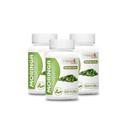 Suplemento Alimentar Moringa Vitamin Nature 60 Cápsulas - 30g