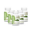 Suplemento Alimentar Moringa Vitamin Nature 60 Cápsulas - 30g