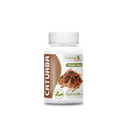 Suplemento Alimentar Catuaba Vitamin Nature 60 Cápsulas - 30g