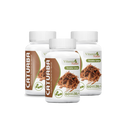 Suplemento Alimentar Catuaba Vitamin Nature 60 Cápsulas - 30g