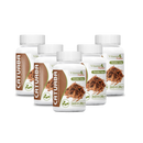 Suplemento Alimentar Catuaba Vitamin Nature 60 Cápsulas - 30g